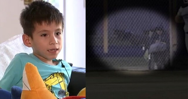 В США койот напал на 6-летнего мальчика во время матча