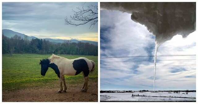 Фокусы восприятия: 20 снимков, которые введут вас в ступор