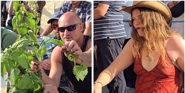 В британской глуши прошёл ежегодный чемпионат мира по поеданию крапивы