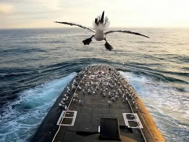 На общую тему 