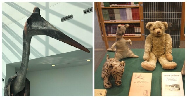 От мумий крокодилов до древних жалоб: 15 потрясающих – забавных и трогательных музейных экспонатов