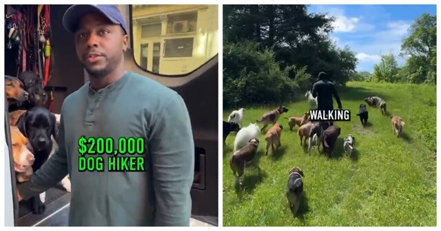 16 миллионов рублей в год зарабатывает парень в Нью-Йорке на выгуле собак