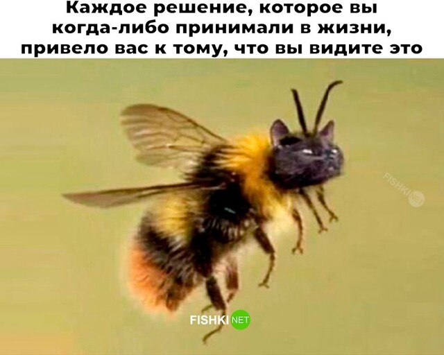Скрины из соцсетей