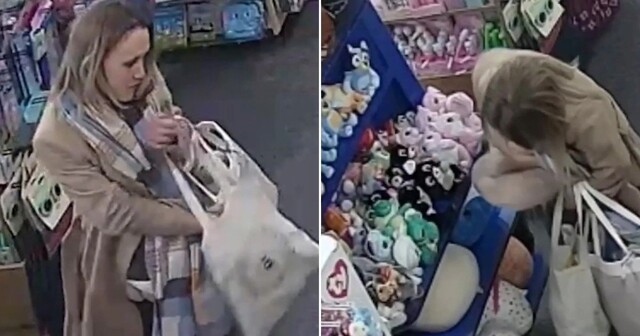 В Великобритании воровка набила штаны мягкими игрушками