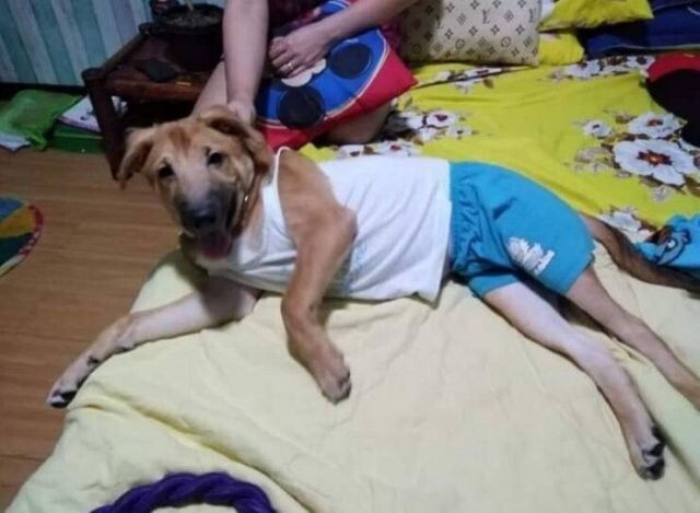 Намешалось