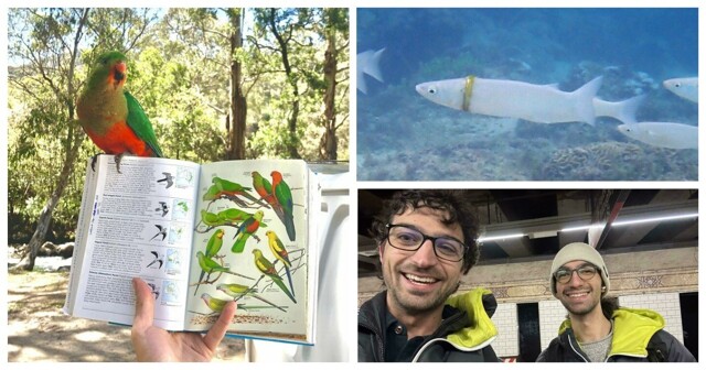 30 удивительных совпадений, которые на первый взгляд кажутся творением ИИ, но это не так