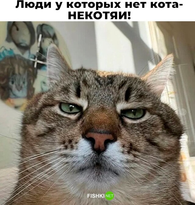 Не ищите здесь смысл. Здесь в основном маразм