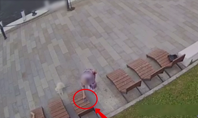 Дама с собачкой присвоила себе мобильный телефон, который был забыт на лежаке