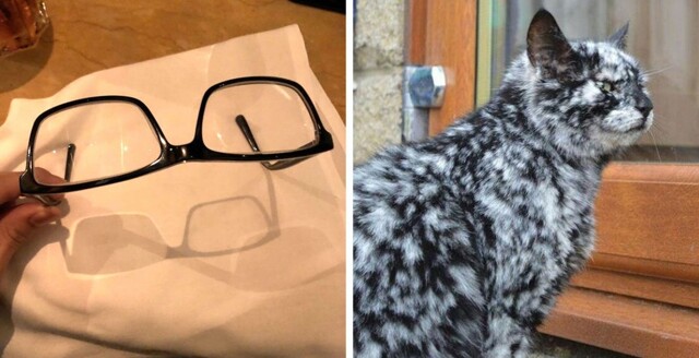 26 снимков способных перевернуть ваш взгляд на, казалось бы, обычные вещи