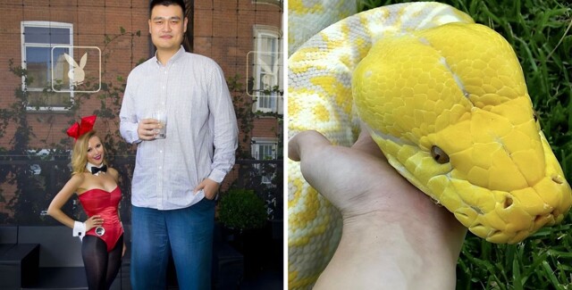 17 фото мега-огромных вещей, рядом с которыми начинаешь подозревать, что ты — лилипут