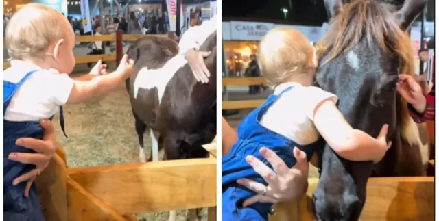 Самая теплая сцена дня: объятия малыша с лошадью покорили сеть