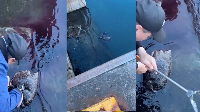 Женщина выловила «инопланетного слизня»  во время  рыбалки