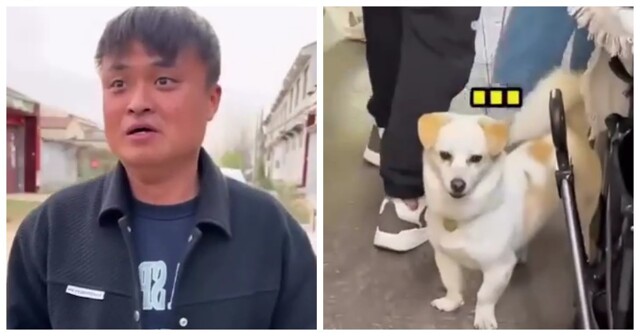 Талантливый китаец пародирует животных и птиц так, что те начинают ему отвечать