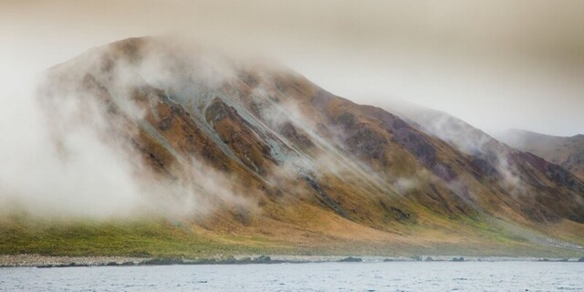 Королевство пингвинов