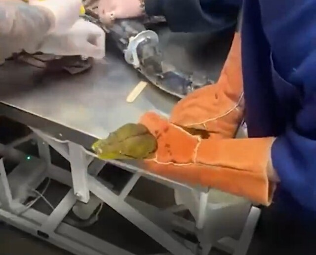 Неудачный побег Василия