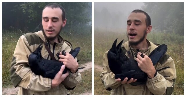 Хозяин  продемонстрировал умение своего ворона зевать