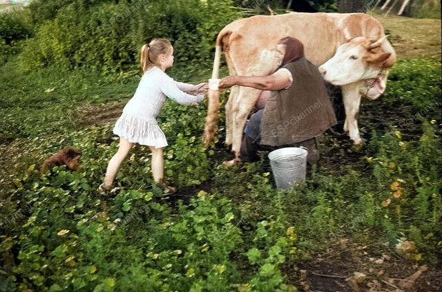 Подборка душевных и ярких фотографий деревенской жизни в СССР
