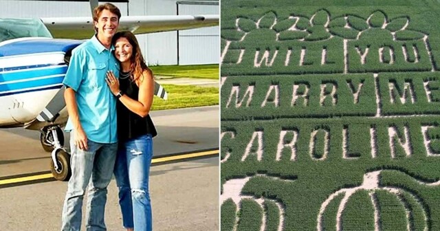 Парень вырастил кукурузный лабиринт, чтобы сделать предложение любимой