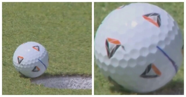 Муха помогла гольфисту попасть в лунку