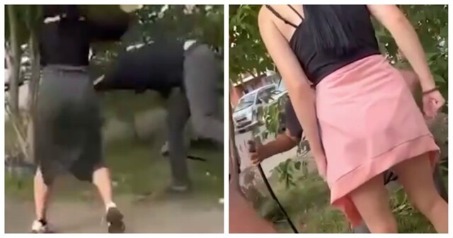 Девушки избили мужчину, который подглядывал за ними