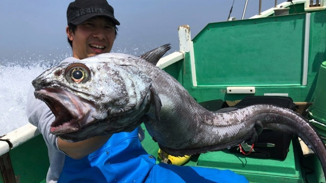 Малоглазый макрурус: вот из кого делают крабовые палочки