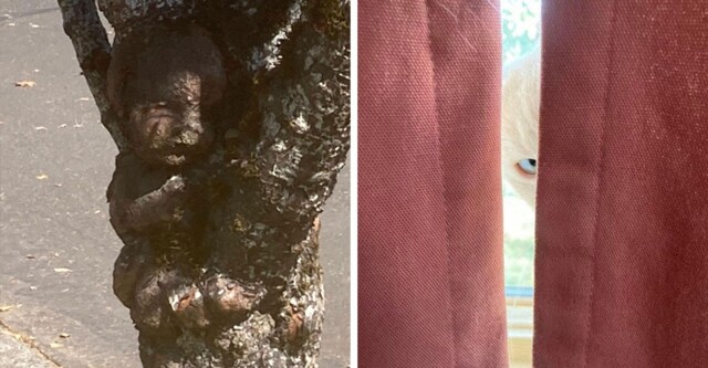 17 фотографий, от видов которых можно потерять дар речи