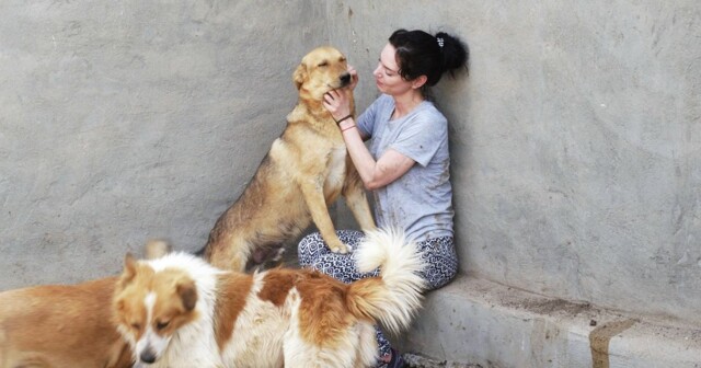 Тёмная сторона Египта: туристка спасла собак из концлагеря