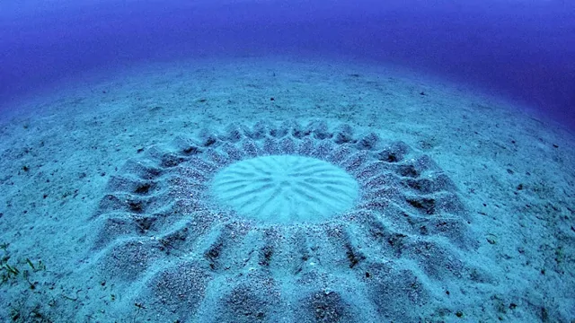 На дне Тихого океана обнаружены загадочные сооружения, созданные не человеком