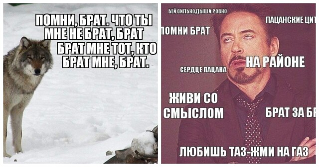 Столичный суд запретил семь крупных «пацанских» пабликов с цитатами