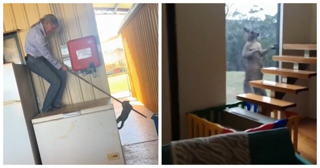 Типичный день в Австралии