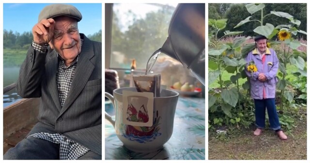 Прогулки по лесу и незабываемые моменты