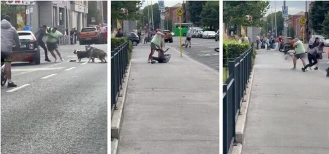 В Ирландии мужчина отбился от вооружённых грабителей