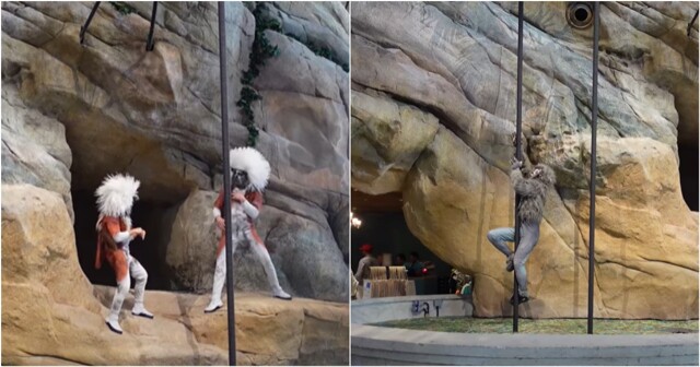 В Абу-Даби открыли зоопарк с человеческим лицом