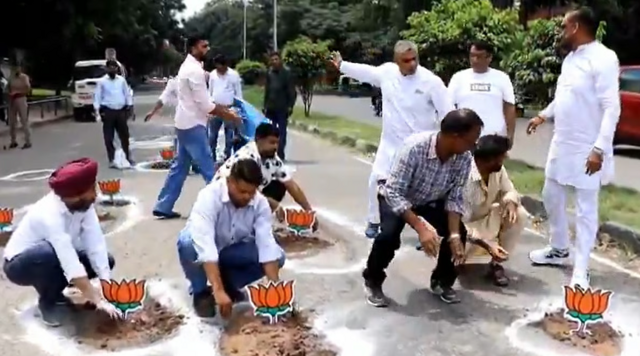 В Индии в дорожные выбоины посадили лотосы