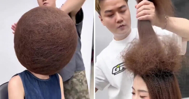 Мастерство стилиста, который создаёт необычные и максимально странные причёски