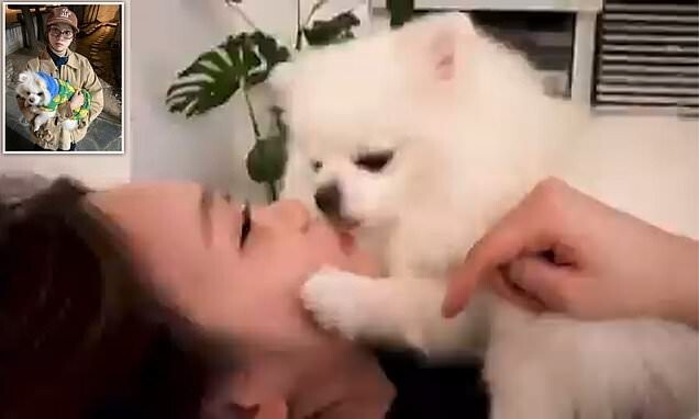 В соцсетях осудили кореянку, которая дала собаке облизать лицо