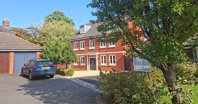 Британку оштрафовали на миллионы за срубленное более десяти лет назад дерево