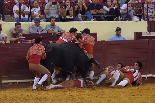 Бык убил молодого тореадора во время его первого выступления