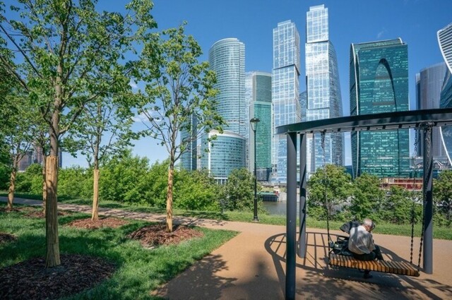 С 2011 по 2024 год в Москве высадили 13 миллионов деревьев и кустарников