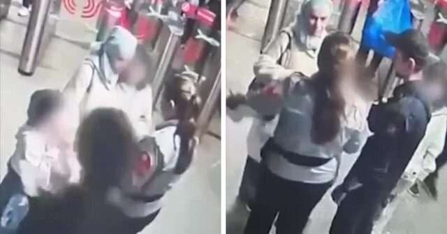 В Московском метро мигрантка ударила контролёра