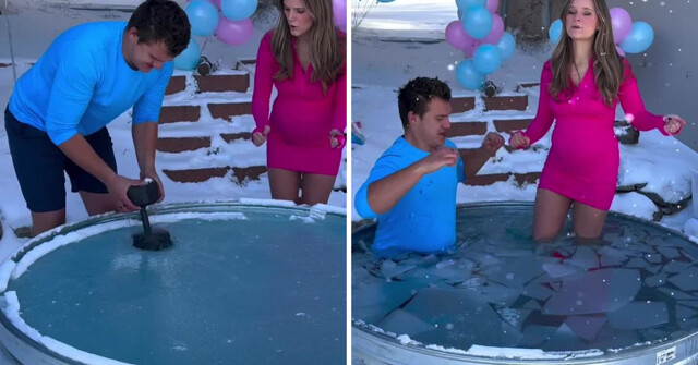 Самый безумный вариант гендер-пати показали блогеры из США