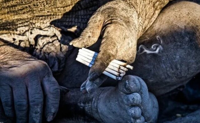 Абу Хаджи. От мытья не умирают