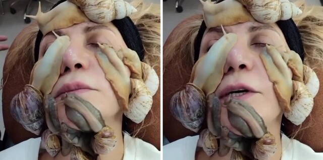 Очередная бьюти-шиза охватила россиянок: ради «вечной молодости» они кладут на лицо гигантских африканских улиток