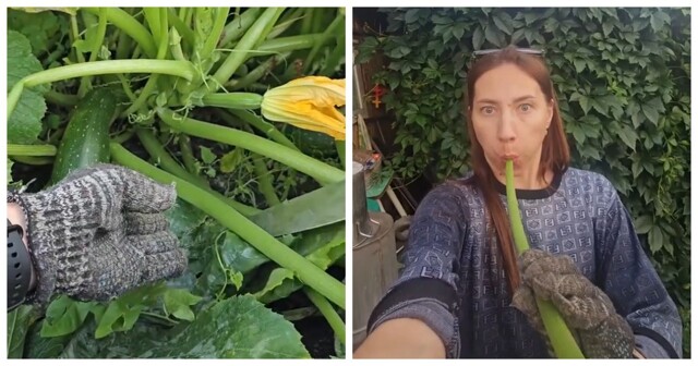 Как сделать дудку из листа кабачка