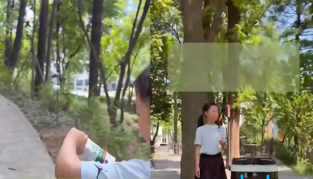 В корейских парках есть роботы для сбора мусора