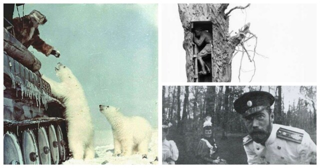 30 исторических фактов и событий, о которых редко говорят