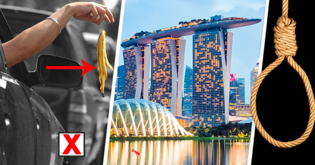 Сорри, нам плевать, закон есть закон