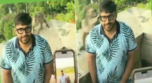 Обезьяна стащила очки у туриста