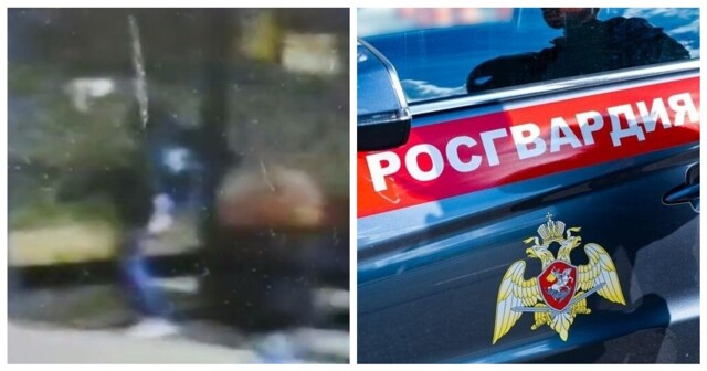 Росгвардейцы задержали вандала, разбившего остановочный павильон в Подмосковье