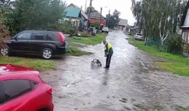 Пенсионер  избил на улице собаку, которая не хотела домой